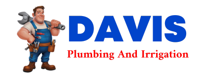 Trusted plumber in MOVILLE